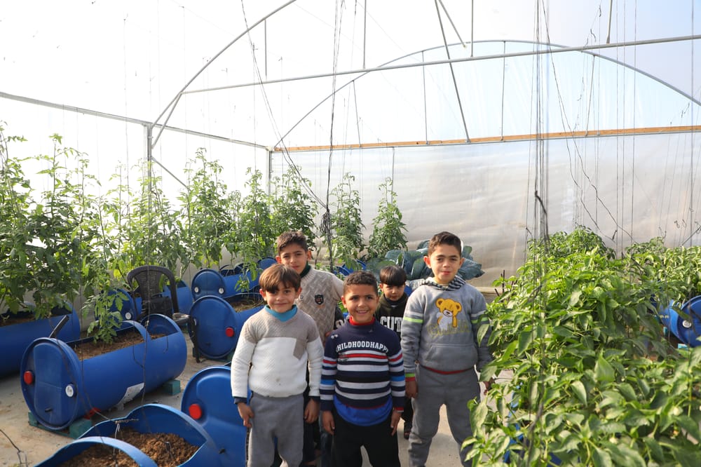 Children tending a hydroponic rooftop garden in Gaza