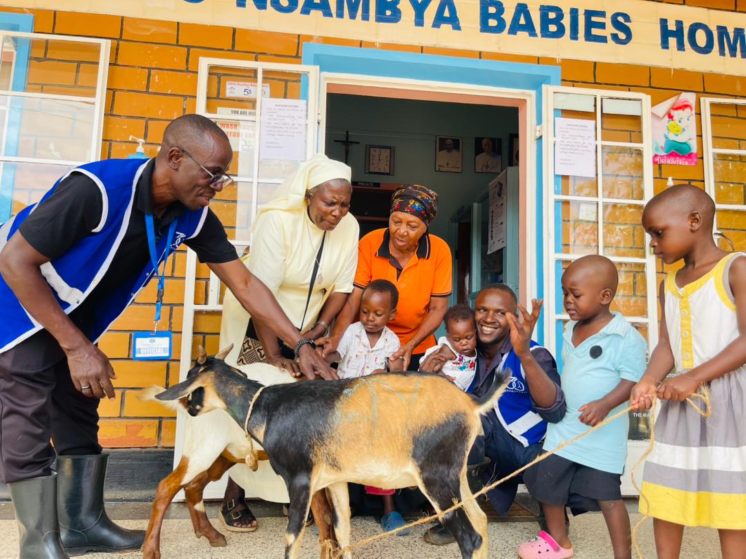 Qurbani meat distribution in Uganda