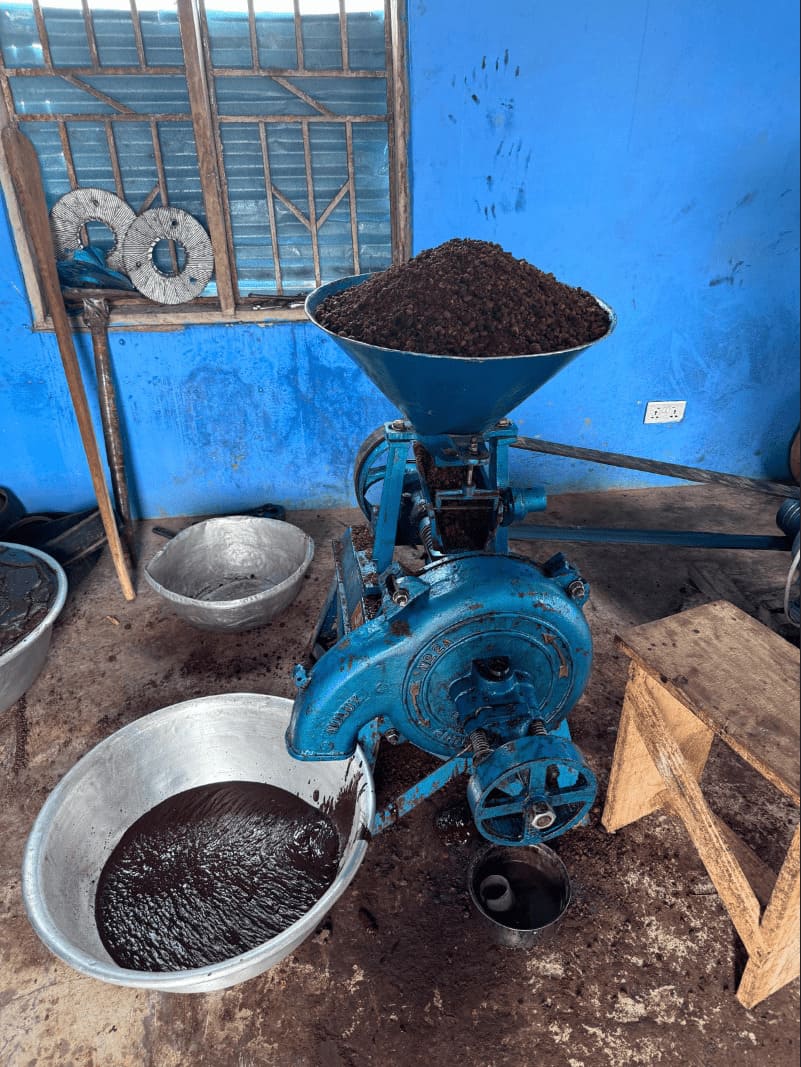 Women processing shea nuts at the Humanity First Ghana extraction facility